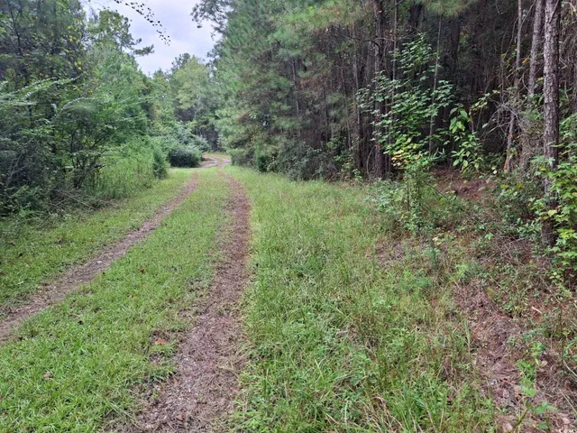 $75,000 | Tbd Oglethorpe Drive, Andrews, SC 29510