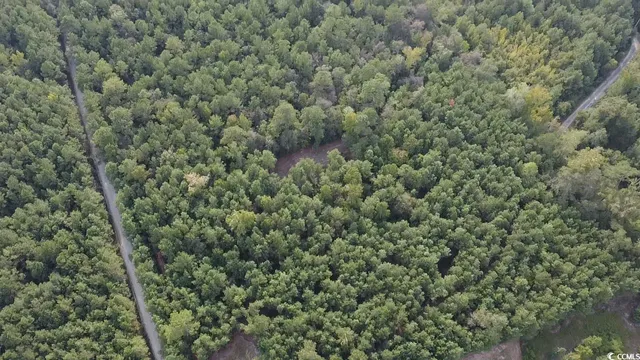 $75,000 | Tbd Oglethorpe Drive, Andrews, SC 29510