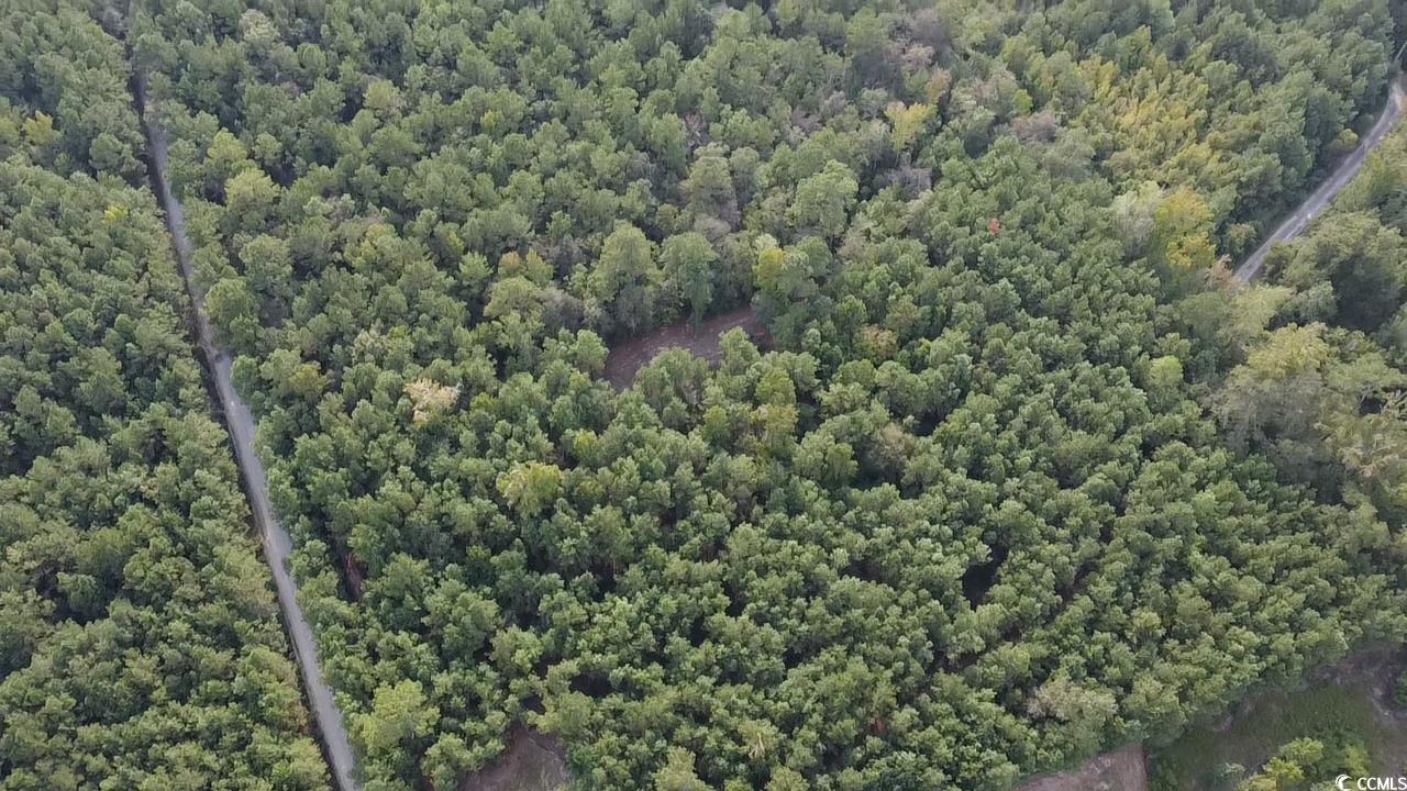 Tbd Oglethorpe Drive Andrews, SC 29510 - Photo 7 of 16