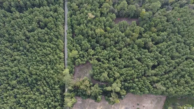 $75,000 | Tbd Oglethorpe Drive, Andrews, SC 29510