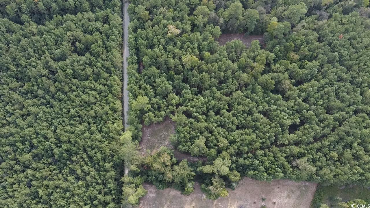 Tbd Oglethorpe Drive Andrews, SC 29510 - Photo 8 of 16