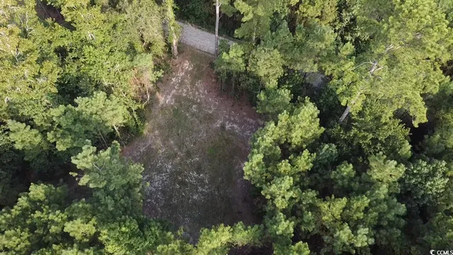 $75,000 | Tbd Oglethorpe Drive, Andrews, SC 29510