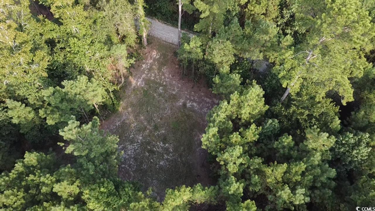 Tbd Oglethorpe Drive Andrews, SC 29510 - Photo 9 of 16