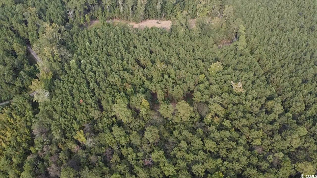 Tbd Oglethorpe Drive Andrews, SC 29510 - Photo 10 of 16