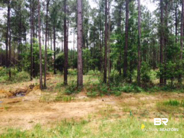 12750 Jenkins Pit Road Daphne, AL 36527 - Photo 2 of 24 Private wooded area