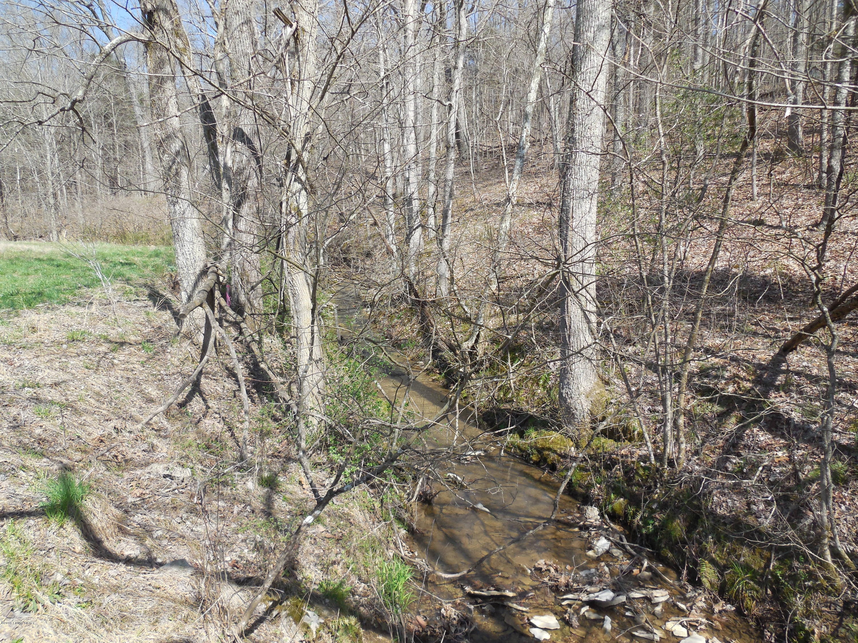 1 Hibera Ridge Road Buffalo, KY 42716 - Photo 10 of 11 208