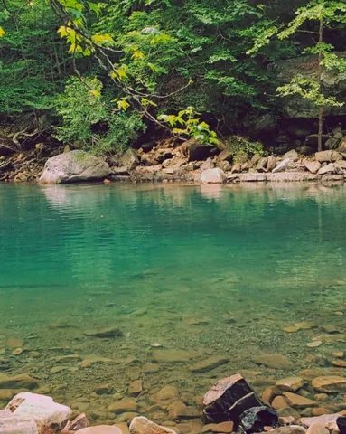 $575,000 | 6174 Highway 27, Chattanooga, TN 37405