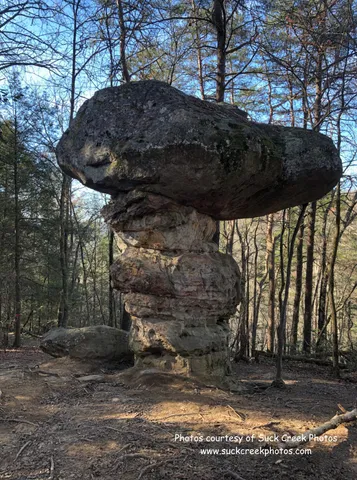 $575,000 | 6174 Highway 27, Chattanooga, TN 37405