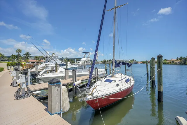 a view of a swimming pool with a garden