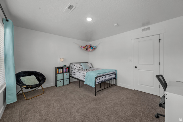 826 Walnut Bark Lane Mapleton, UT 84664 - Photo 23 of 40