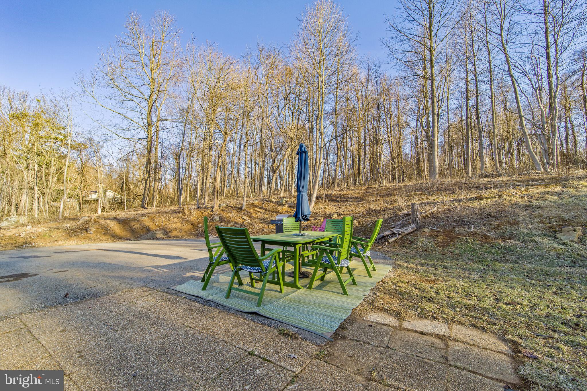 21860 Blue Ridge Mountain Road Paris, VA 20130 - Photo 43 of 66 Wooded boundaries offer privacy & serenity