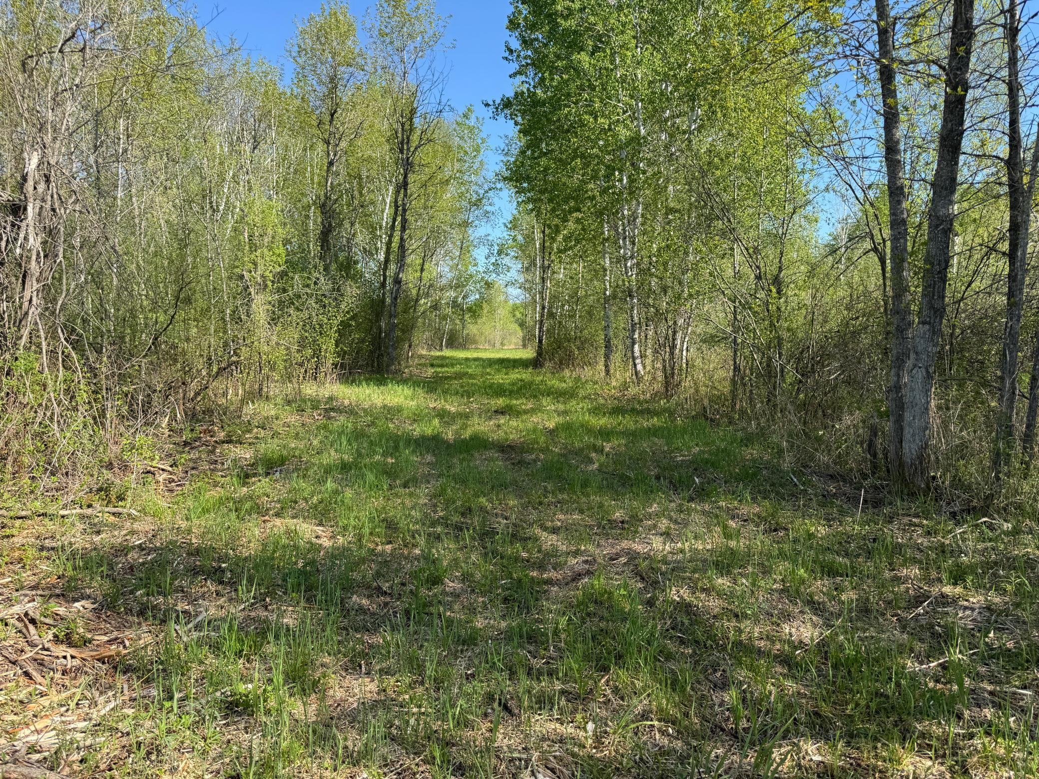 Tbd Skog Road Kettle River, MN 55757 - Photo 11 of 22