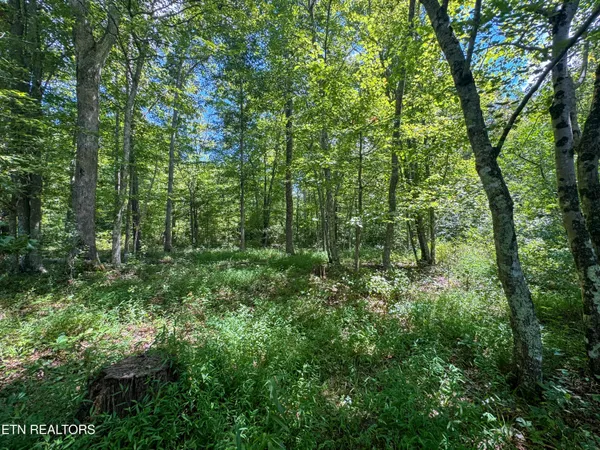 $177,660 | Burch Lane, Winfield, TN 37892