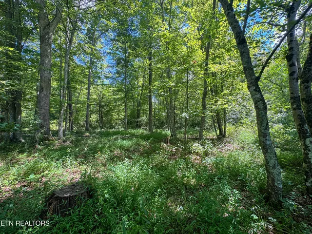 $177,660 | Burch Lane, Winfield, TN 37892