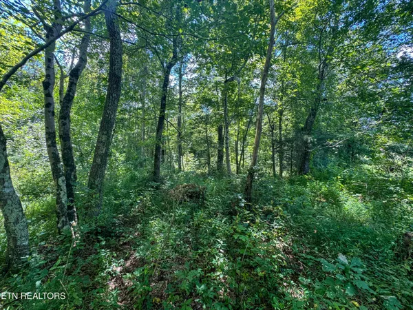 $177,660 | Burch Lane, Winfield, TN 37892