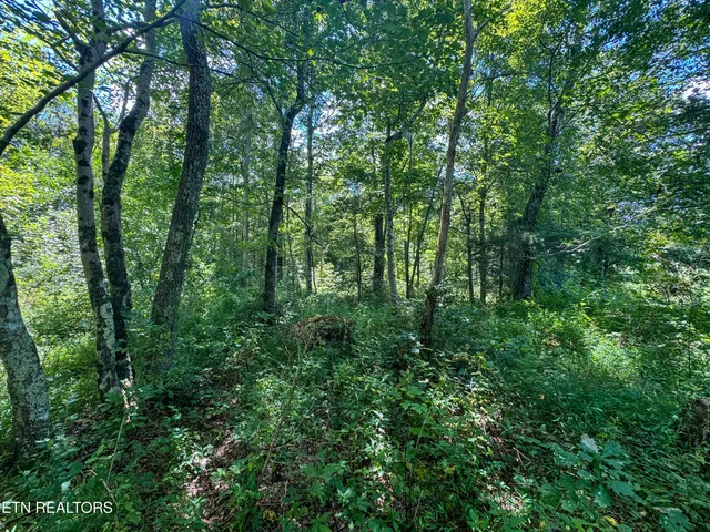 $177,660 | Burch Lane, Winfield, TN 37892