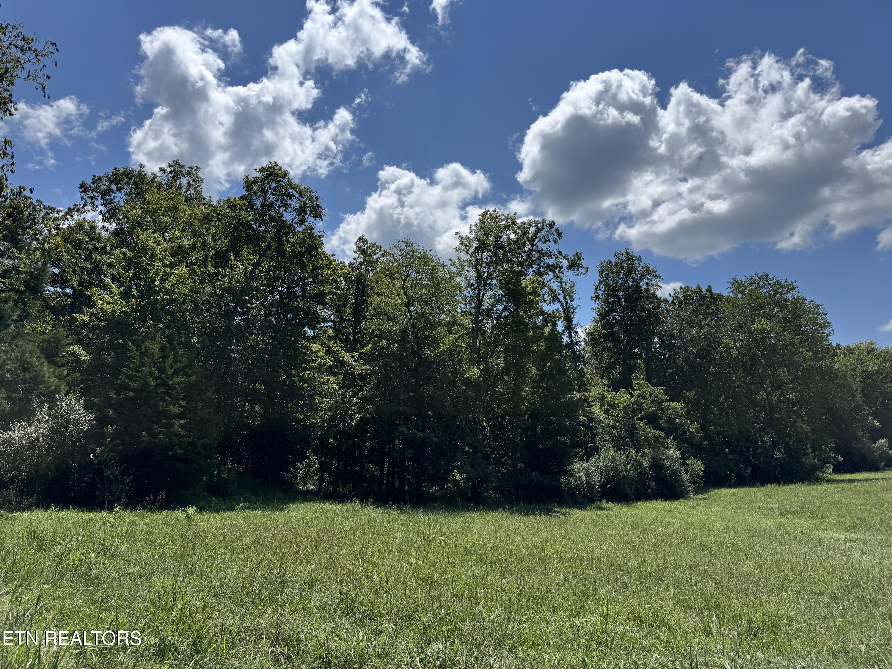 Burch Lane Winfield, TN 37892 - Photo 5 of 10 IMG_8364