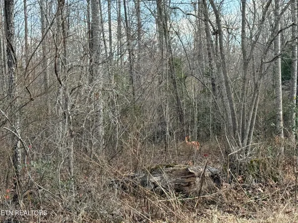 $177,660 | Burch Lane, Winfield, TN 37892