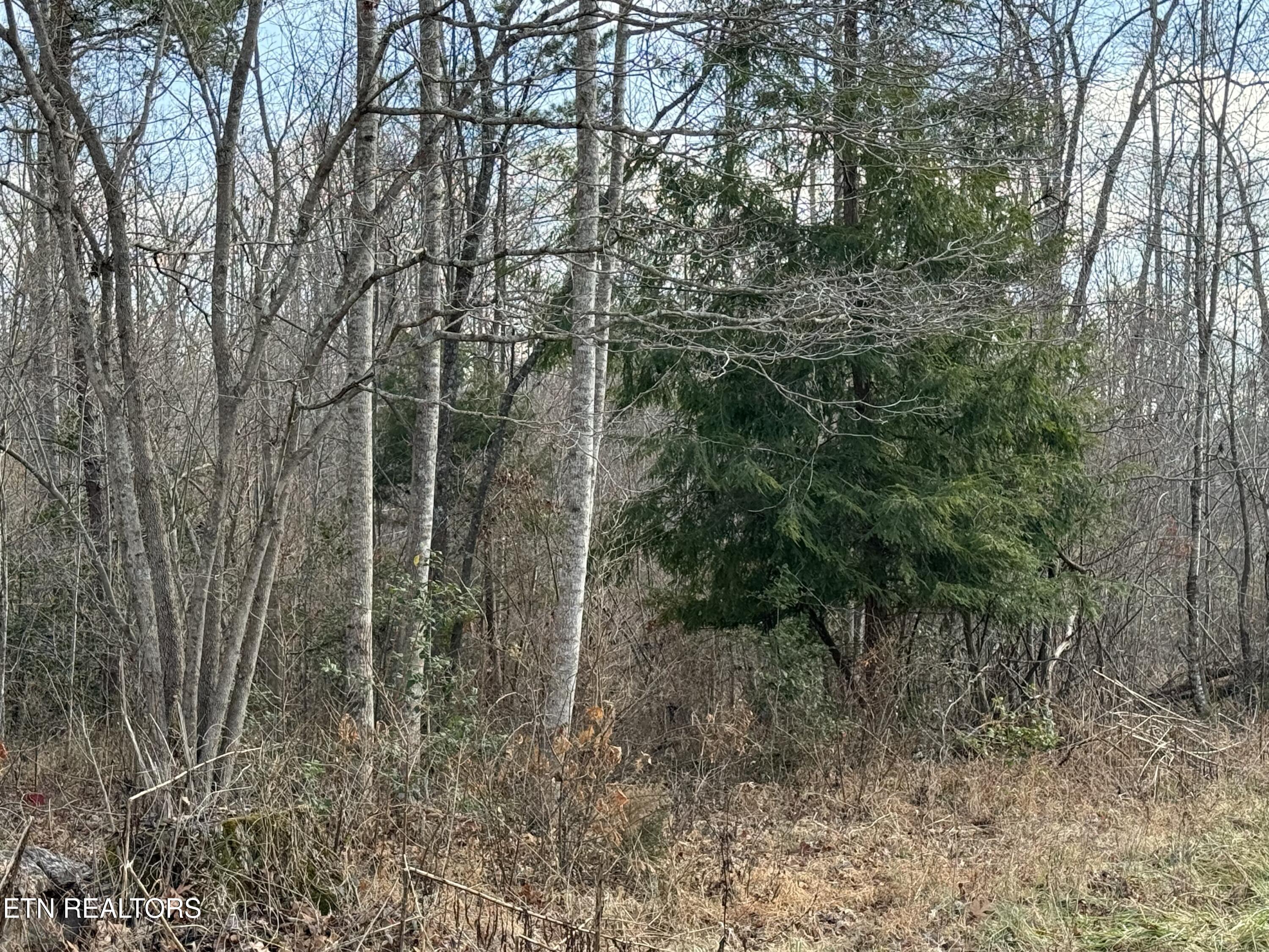 Burch Lane Winfield, TN 37892 - Photo 9 of 10 IMG_4905