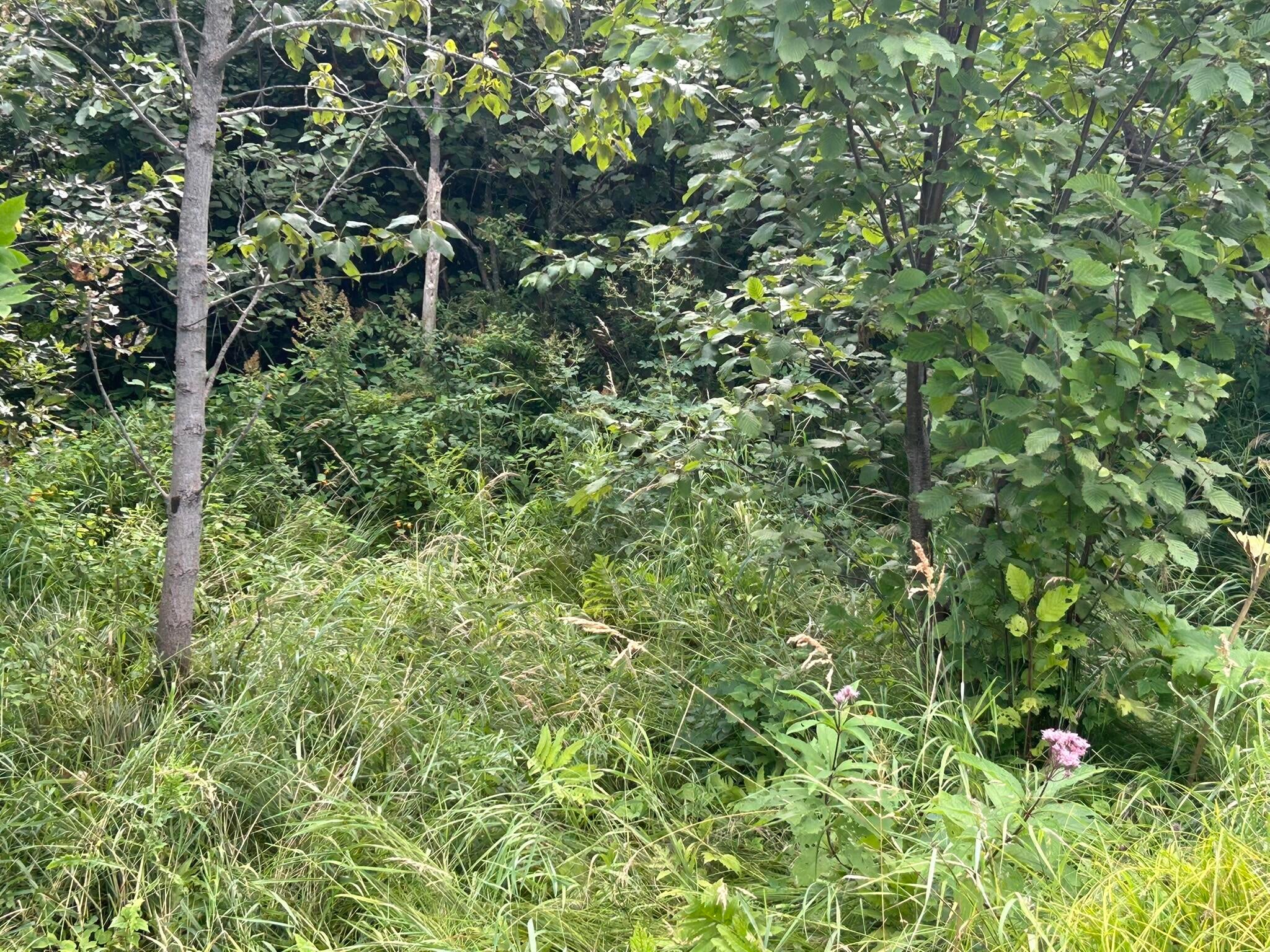 Epoufette Bay Road Naubinway, MI 49762 - Photo 19 of 26 Gallery Image 19