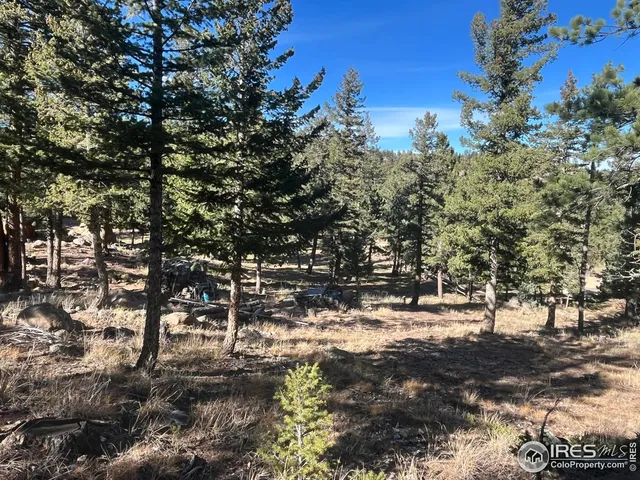 $469,900 | 4360 Green Mountain Drive, Livermore, CO 80536