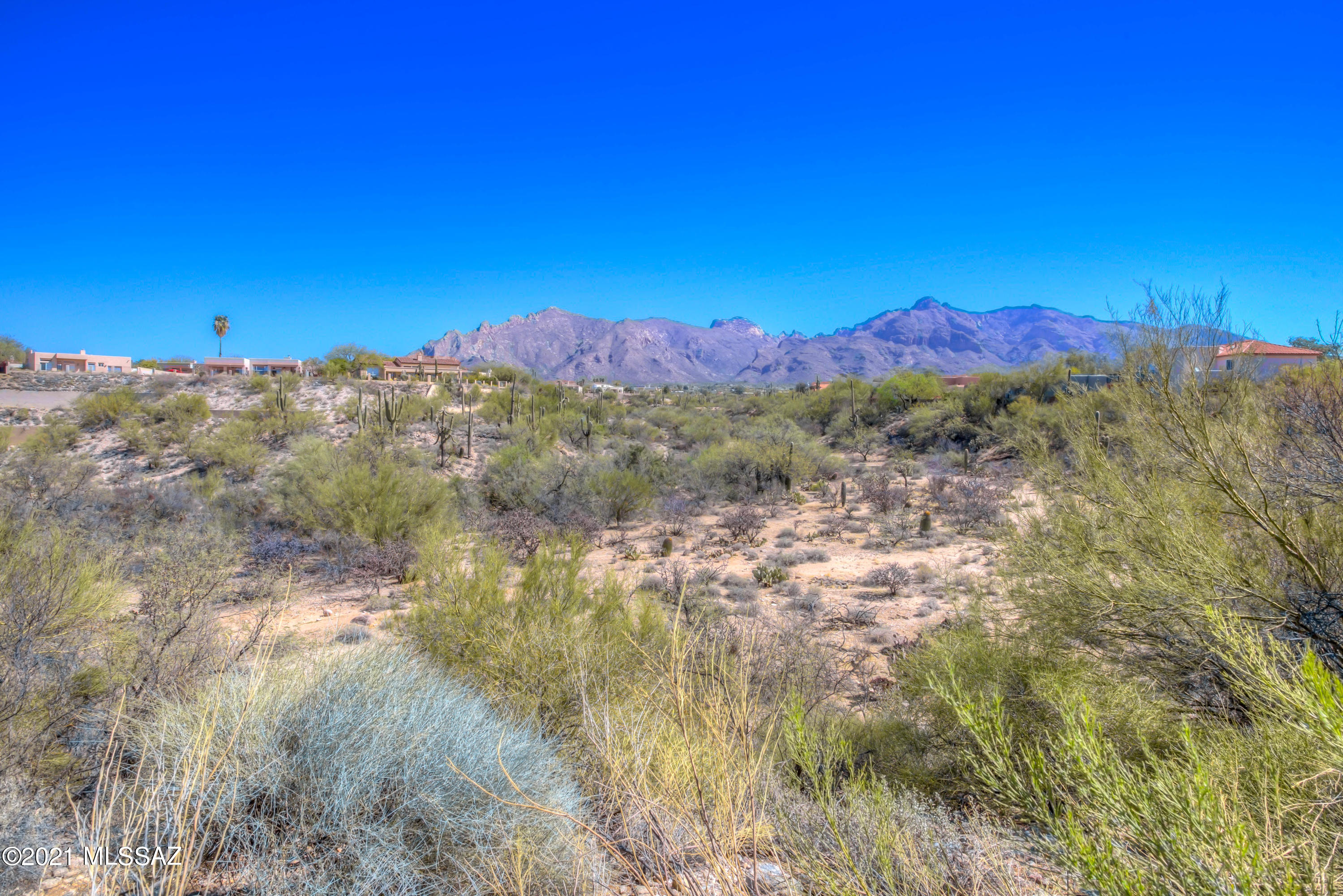 301 East Shadow Bluff Place Tucson, AZ 85704 - Photo 37 of 40