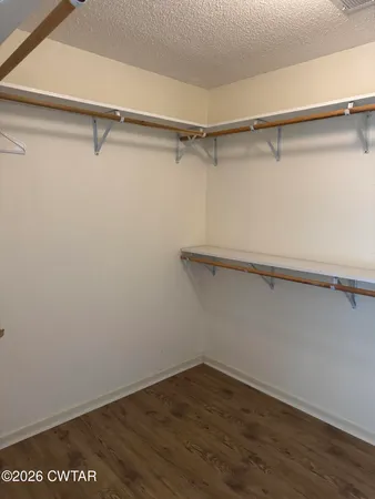a view of an empty walk in closet