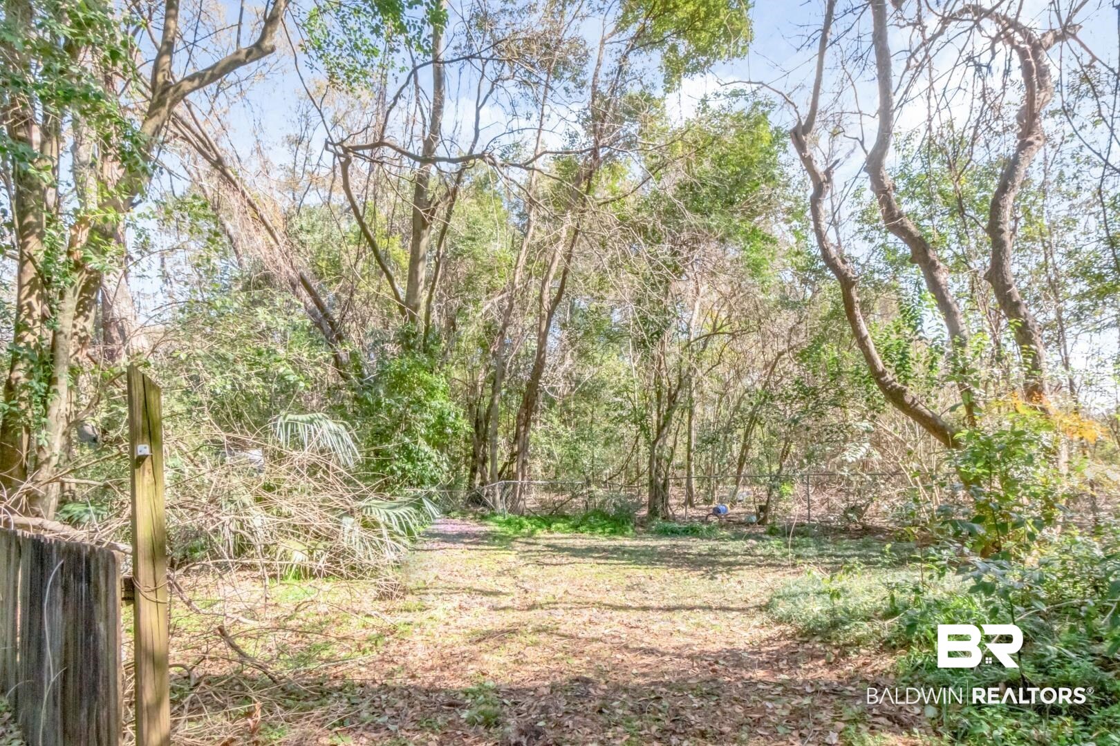 731 Jemison Street Mobile, AL 36606 - Photo 19 of 27 View of wooded area