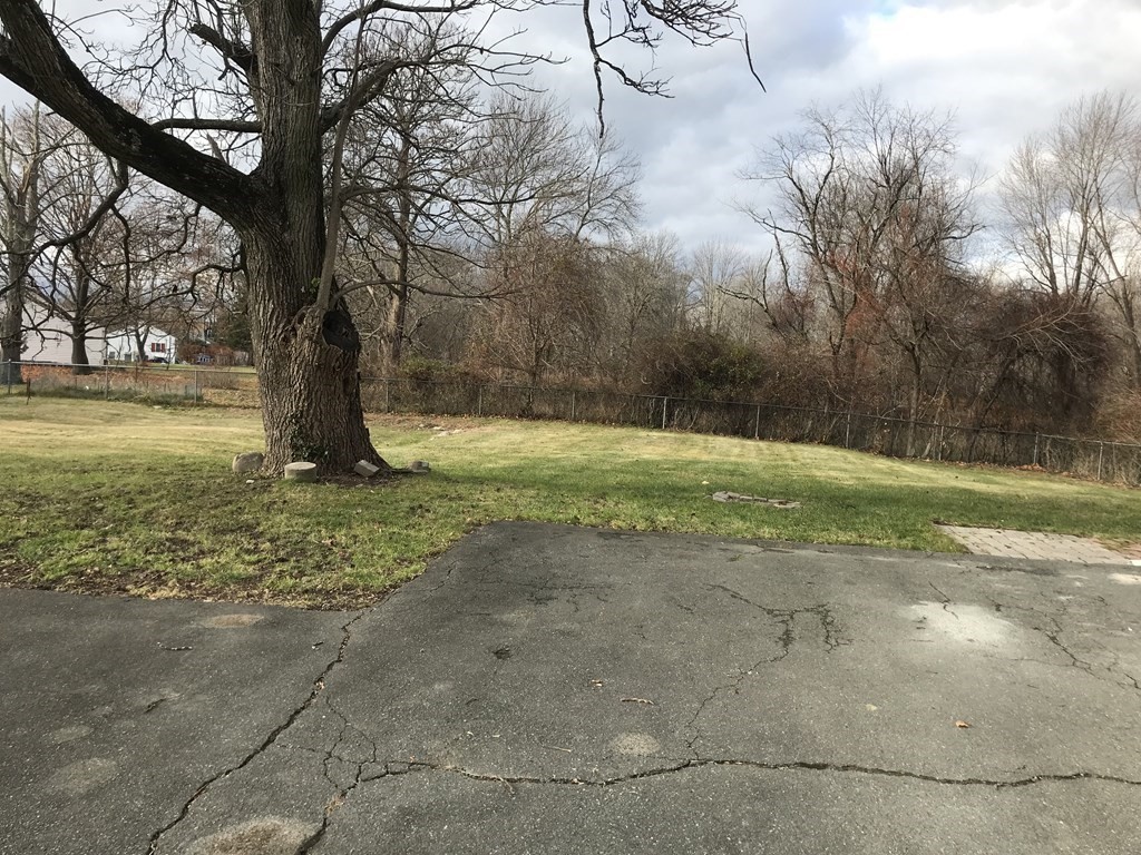 176 Plymouth Street, Unit 2 Bridgewater, MA 02324 - Photo 2 of 11 a view of a yard with a tree