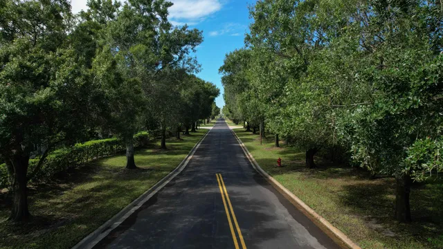 a view of park with large trees