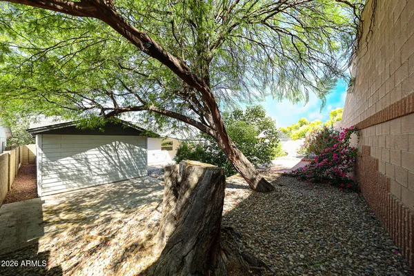 a view of back yard of the house