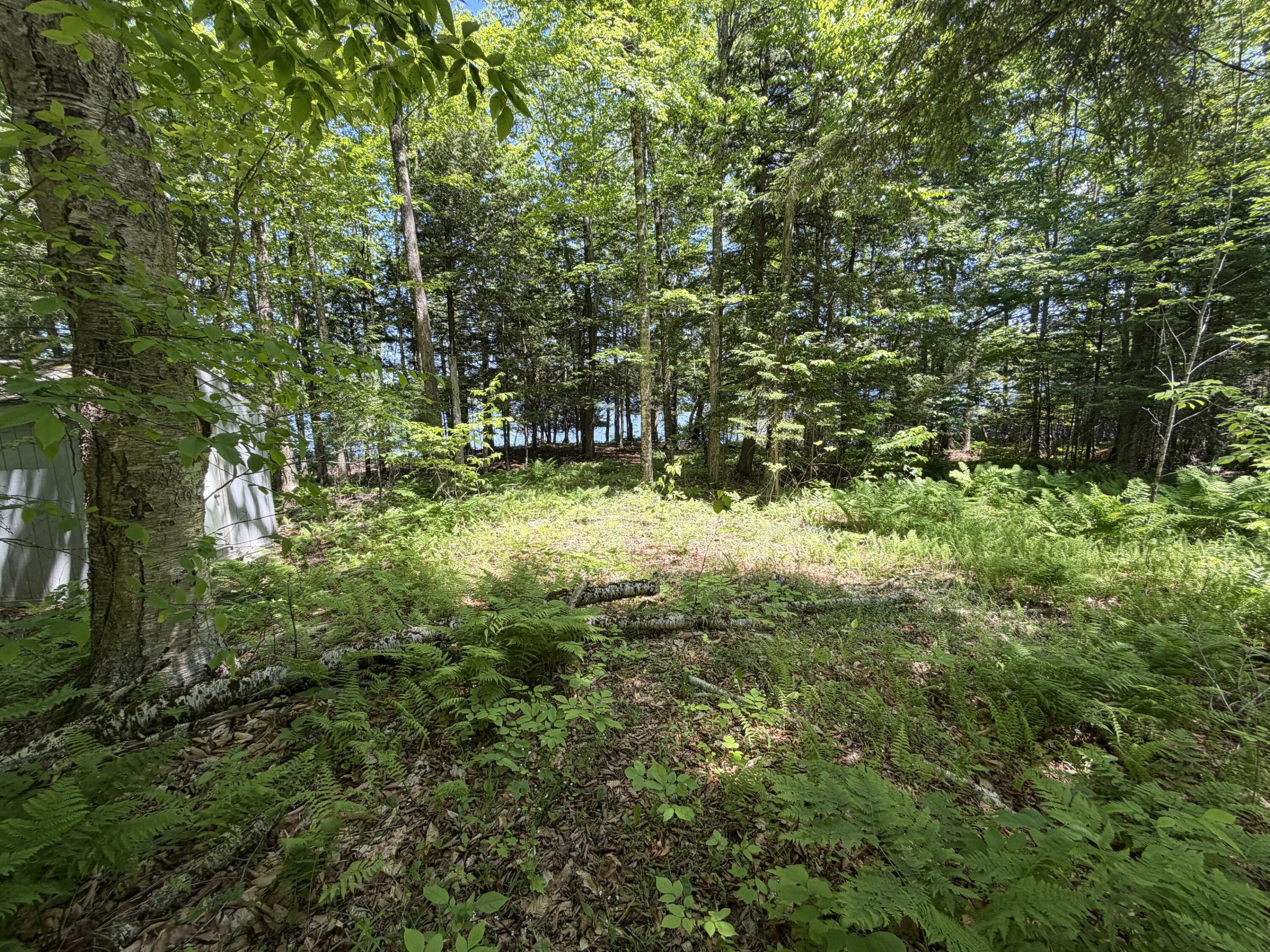 21 Map Lane Dexter, ME 04930 - Photo 10 of 12 12