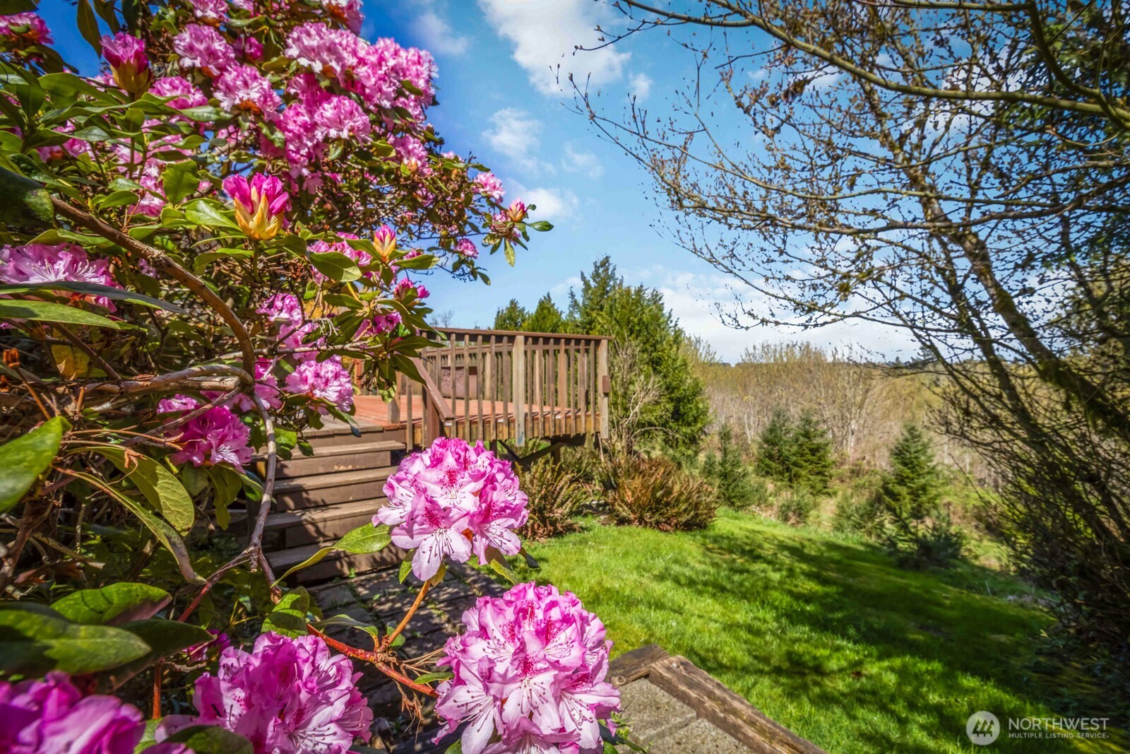 207 Tillicum Drive Chehalis, WA 98532 - Photo 9 of 40 a view of yard with flowers and tree