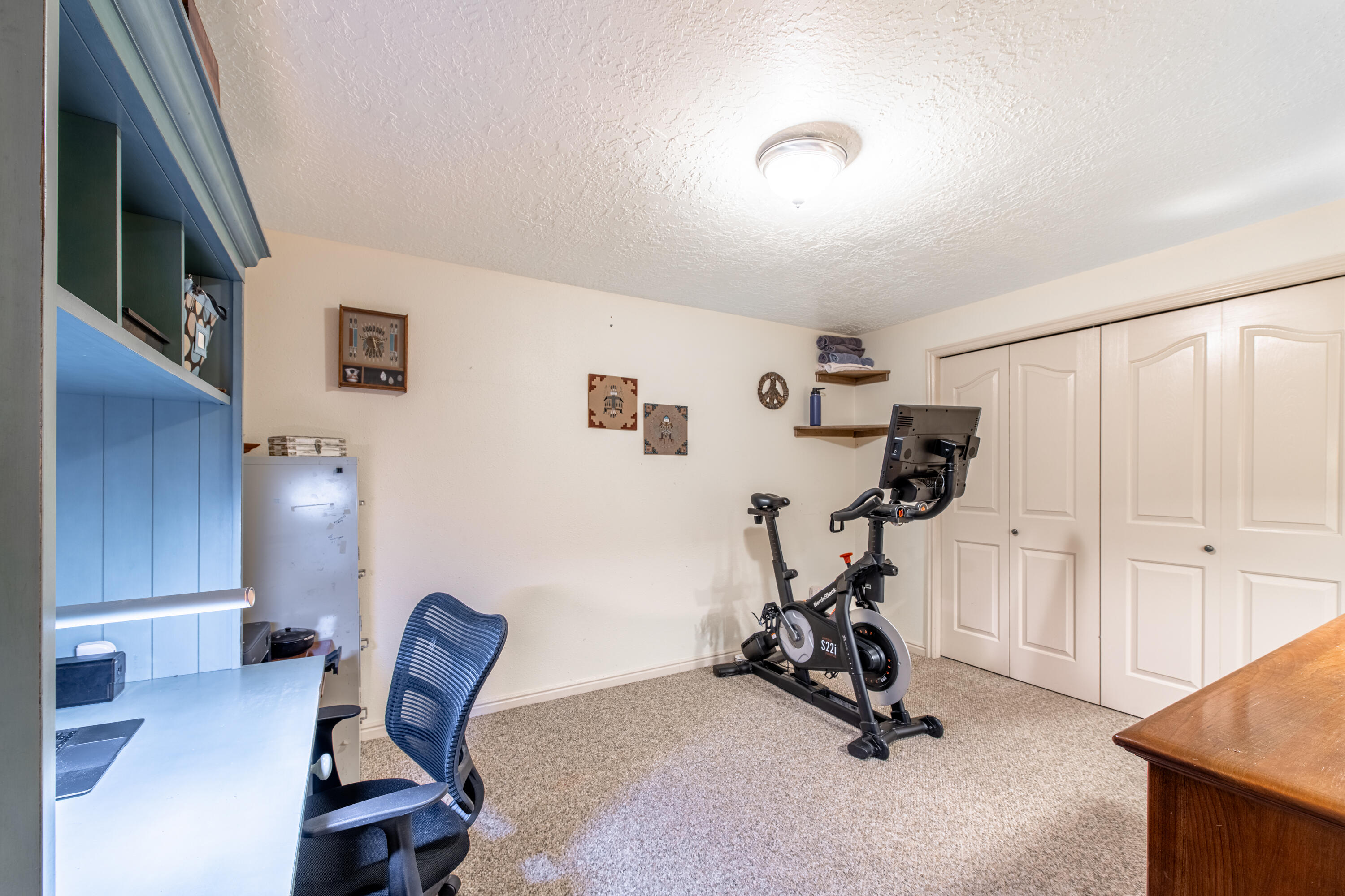 29 Canyon View Drive Springdale, UT 84767 - Photo 51 of 67 2nd bedroom in basement (no window)