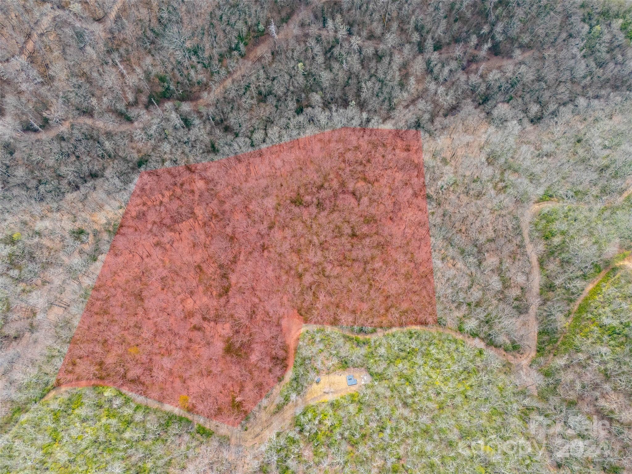 Lot 111 Cranberry Creek Road Maggie Valley, NC 28751 - Photo 2 of 10