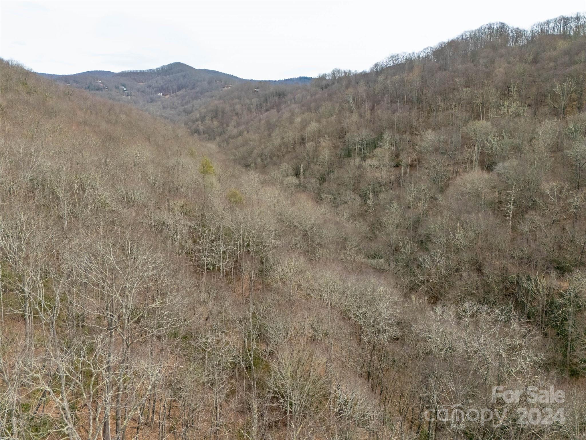 Lot 111 Cranberry Creek Road Maggie Valley, NC 28751 - Photo 5 of 10 a view of a dry field