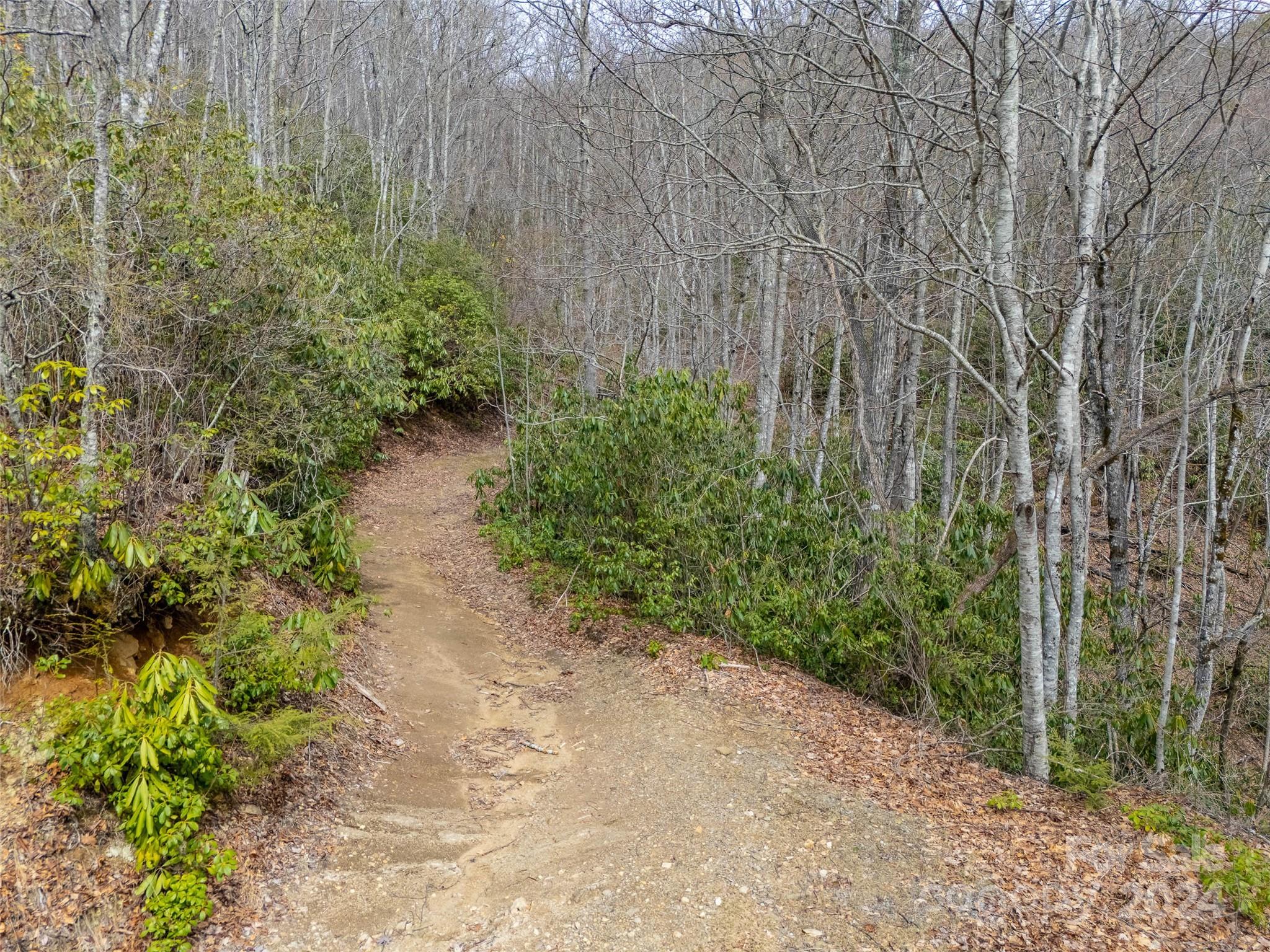 Lot 111 Cranberry Creek Road Maggie Valley, NC 28751 - Photo 7 of 10 a view of a pathway with a yard