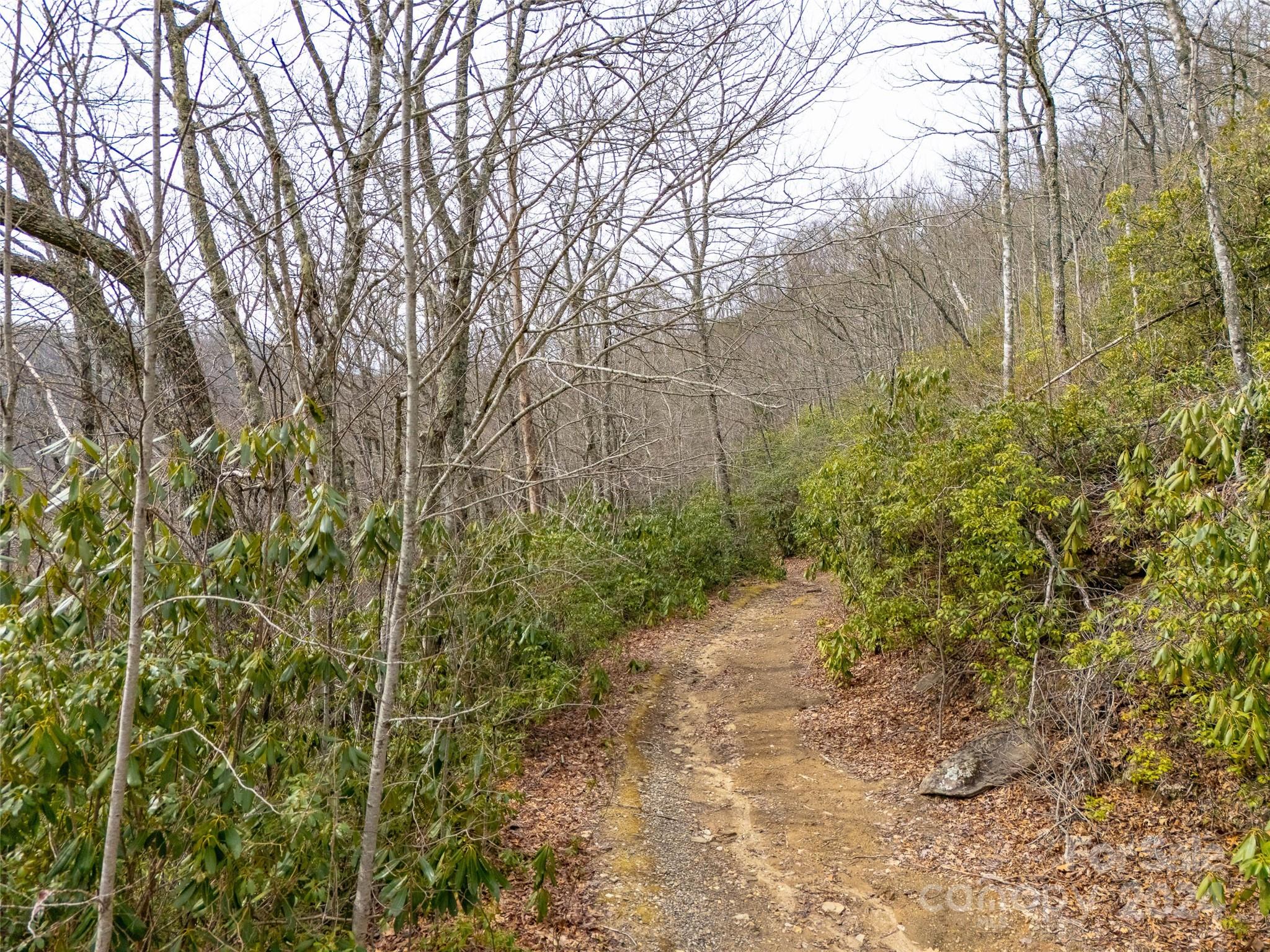 Lot 111 Cranberry Creek Road Maggie Valley, NC 28751 - Photo 10 of 10 a view of a pathway with a tree