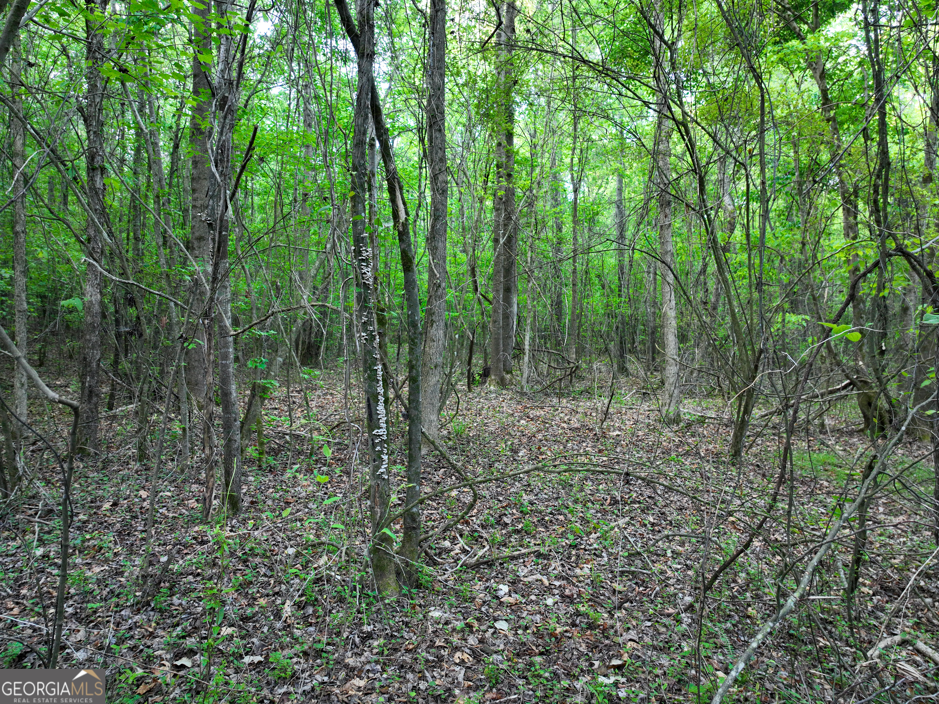 0 Zebulon Road Milner, GA 30257 - Photo 25 of 26 Gallery Image 25