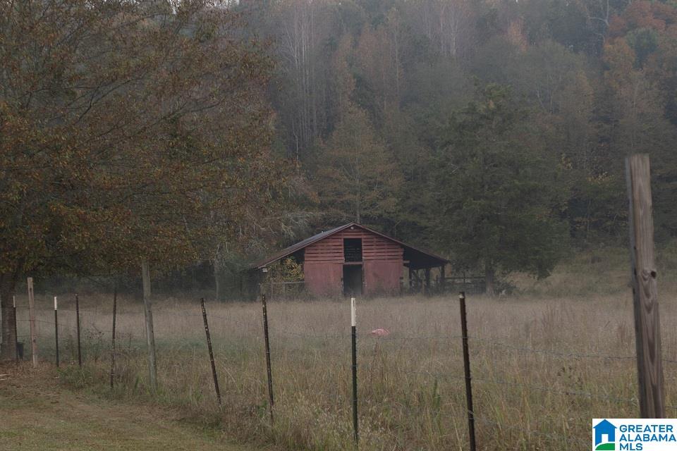 1005 Wolf Creek Road South Pell City, AL 35128 - Photo 7 of 29