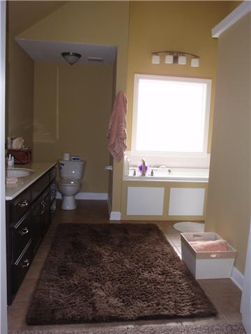9151 Buck Litton Road Lyles, TN 37098 - Photo 18 of 20 a bathroom with a sink a toilet and a window