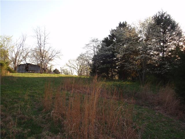 9151 Buck Litton Road Lyles, TN 37098 - Photo 6 of 20 a view of lake with a tree in the background