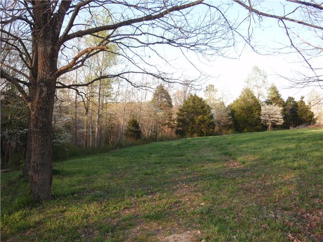 9151 Buck Litton Road Lyles, TN 37098 - Photo 7 of 20 a view of an outdoor space and a yard