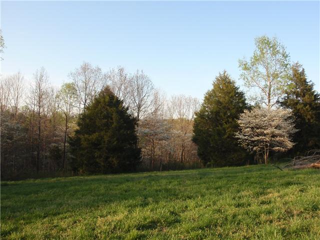 9151 Buck Litton Road Lyles, TN 37098 - Photo 8 of 20 a view of a yard with a tree