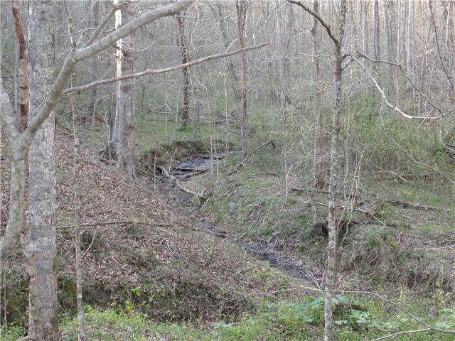 9151 Buck Litton Road Lyles, TN 37098 - Photo 10 of 20 a backyard of a house with lots of green space and shower