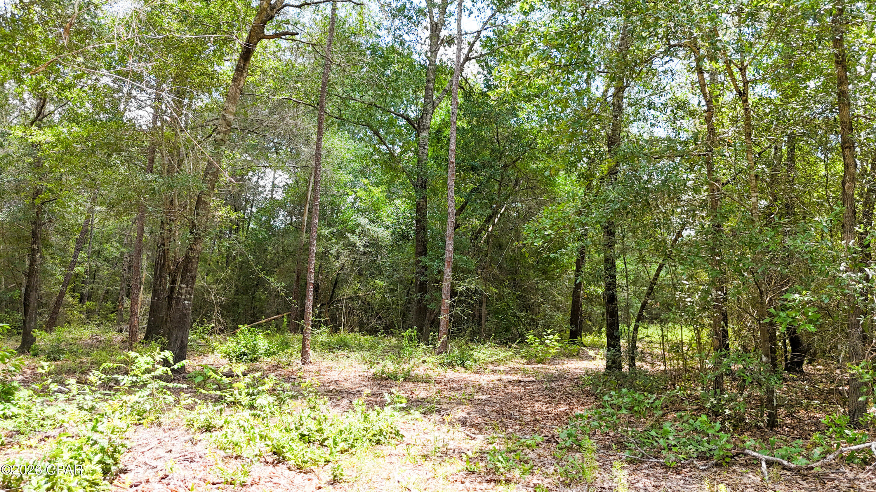 20429 Fettinger Road Fountain, FL 32438 - Photo 20 of 23 Gallery Image 20