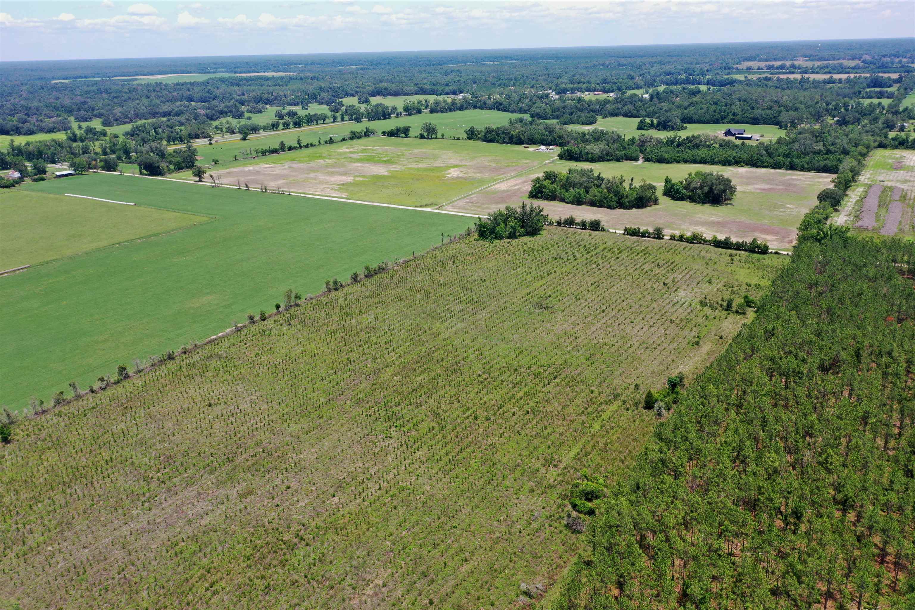 Southwest 86th Boulevard Jasper, FL 32052 - Photo 1 of 15
