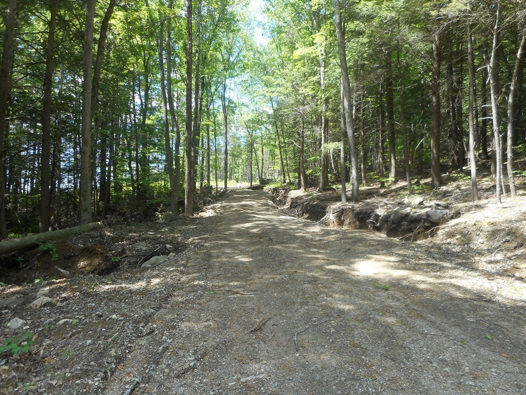 Lot D County Road Huntington, MA 01050 - Photo 7 of 9 Gallery Image 7