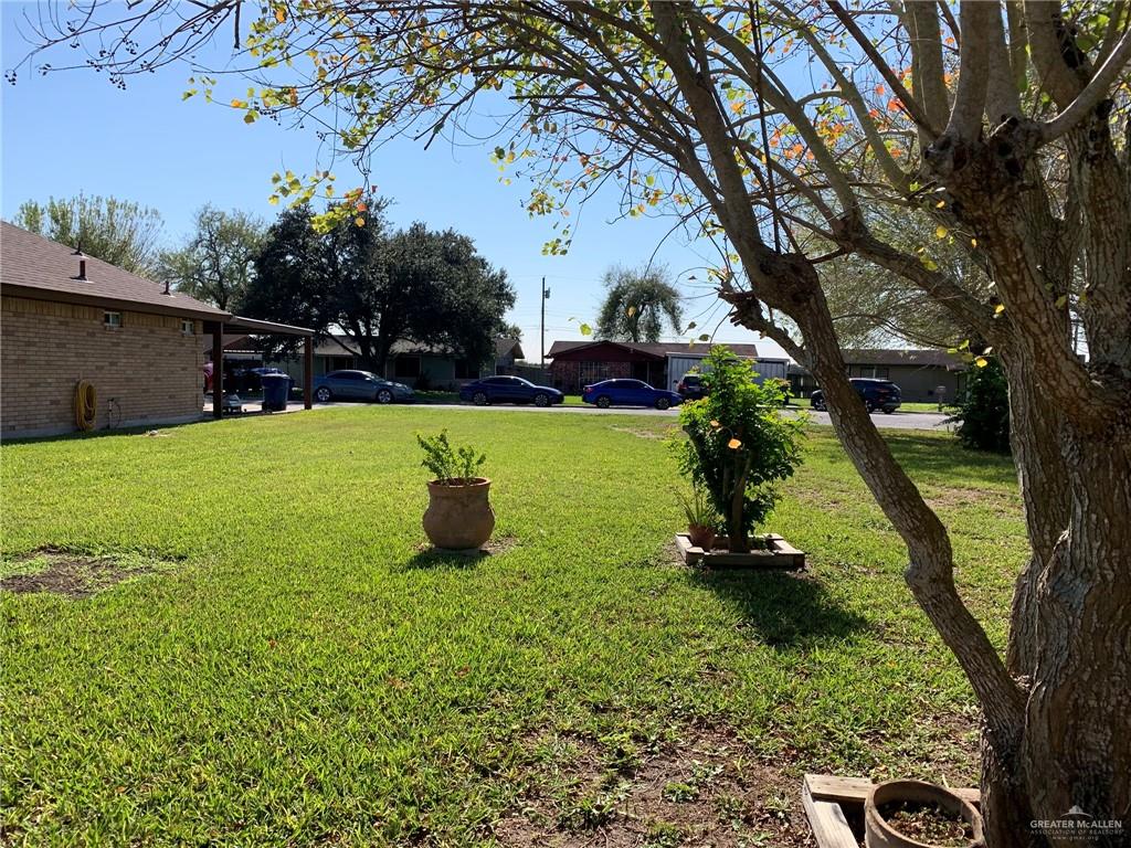 0 Wayne Place Harlingen, TX 78552 - Photo 6 of 11 a view of a golf course with a tree
