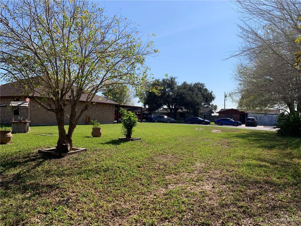 0 Wayne Place Harlingen, TX 78552 - Photo 7 of 11 a view of a yard with a tree